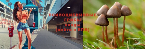 кокс Алексеевка