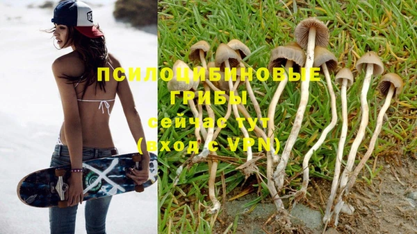 apvp Абинск