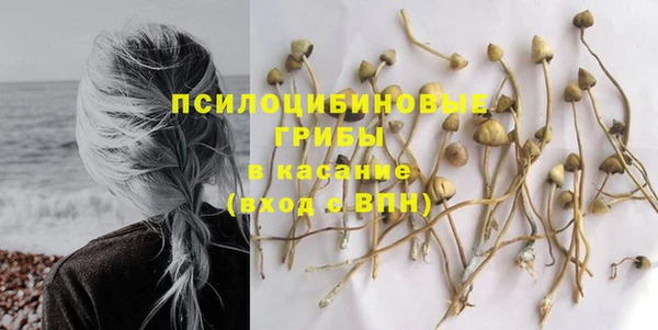 прущие грибы Абдулино